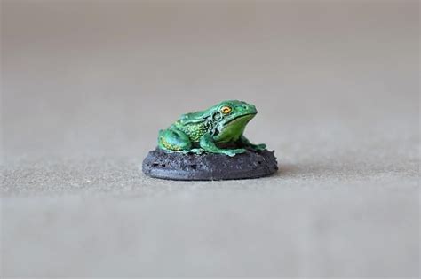  Zephyr Toad! This Miniature Marvel Embraces Its Aquatic Lifestyle While Sporting Vibrant Skin Tones